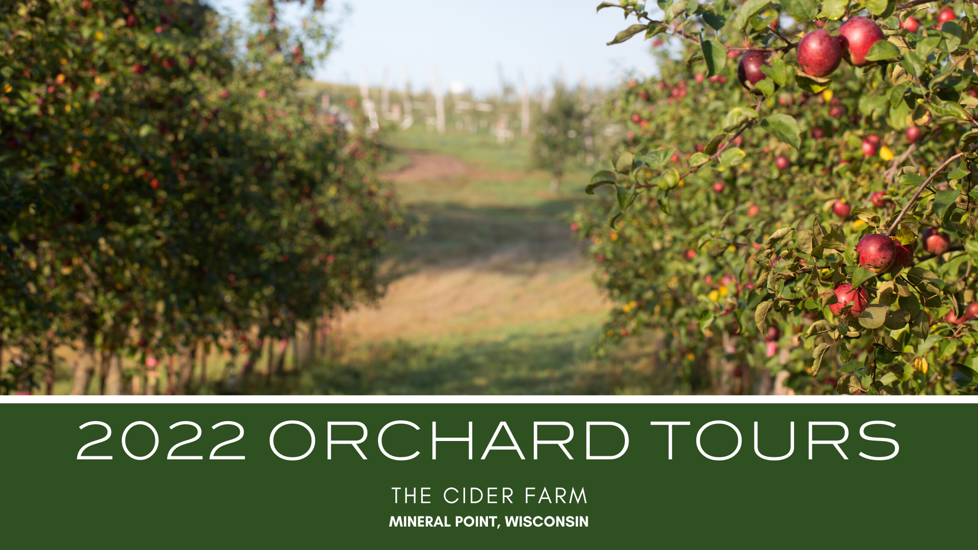 Orchard Tours
